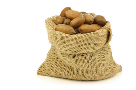 tasty pecan nuts in a burlap bag on a white background
