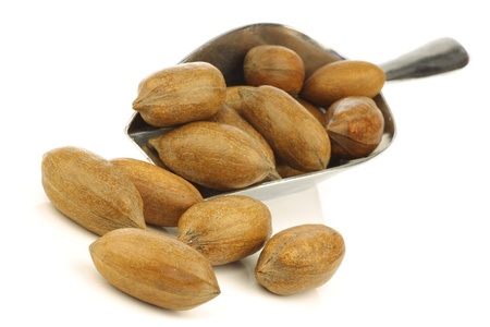 tasty pecan nuts in a metal scoop on a white background の写真素材
