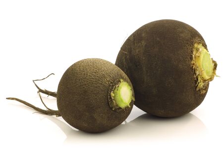 fresh black radish  Raphanus niger  bulb on a white background の写真素材