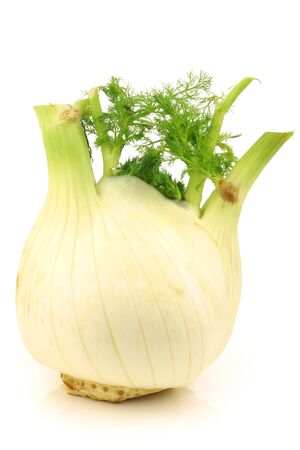 freshly harvested fennel on a white background の写真素材