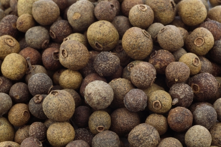 background of dried allspice Jamaica pepper  の写真素材