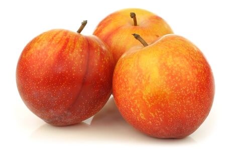 red and yellow plums on a white background の写真素材