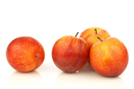  red and yellow plums on a white background の写真素材