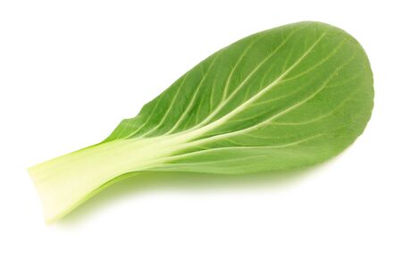 fresh chinese paksoi leaf on a white background の写真素材