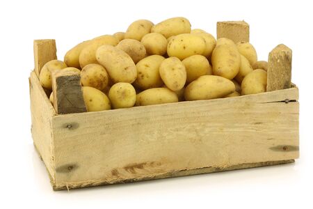 freshly harvested dutch seed potatoes  krieltjes  in a wooden box on a white background の写真素材