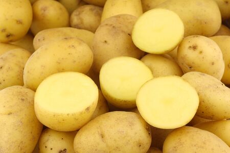 background of dutch seed potatoes  krieltjes  and a cut one の写真素材