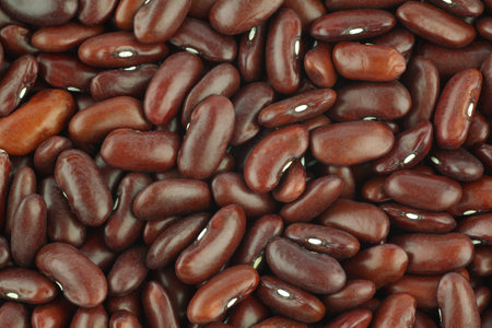red kidney beans background 
