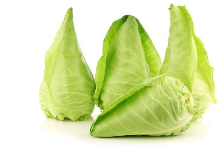fresh green pointed cabbages on a white backgroundの写真素材