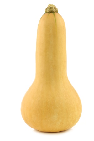 bottle shaped butternut pumpkin on a white backgroundの写真素材