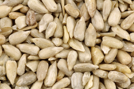 background of dried sunflower seeds