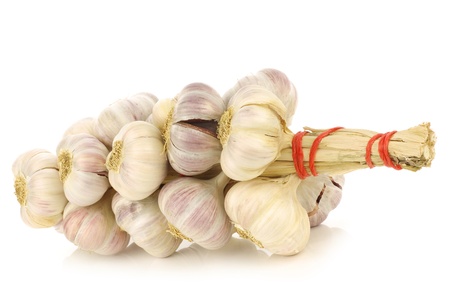 string of garlic bulbs on a white backgroundの写真素材