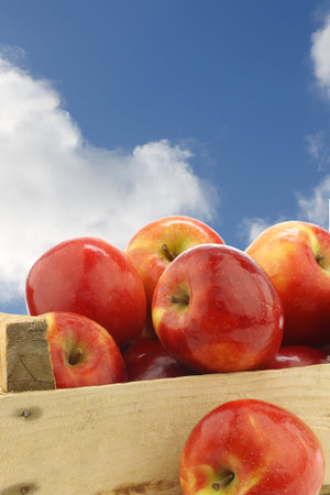 fresh   apples in a wooden crate against a blue sky with cloudsの写真素材