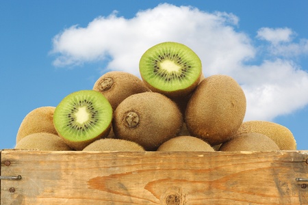 Green kiwi fruit and a cut one in a wooden box against a blue sky with cloudsの写真素材