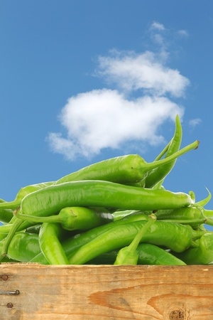 Freshly harvested jalapeno peppers in a wooden crate against a blue sky with some cloudsの写真素材
