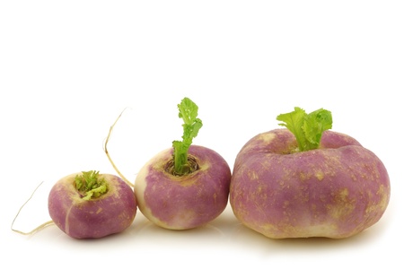 freshly harvested spring turnips  Brassica rapa  on a white backgroundの写真素材