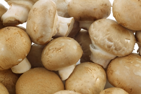 background of a bunch of fresh champignon mushroomsの写真素材