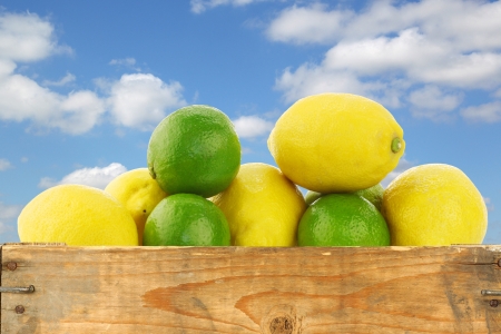 fresh lemons and lime fruit in and around a wooden box against a blue sky with cloudの写真素材