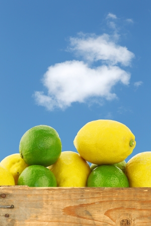 fresh lemons and lime fruit in and around a wooden box against a blue sky with cloudの写真素材