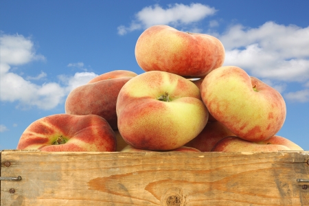fresh colorful flat peaches  donut peaches  in a wooden crate against a blue sky with cloudsの写真素材