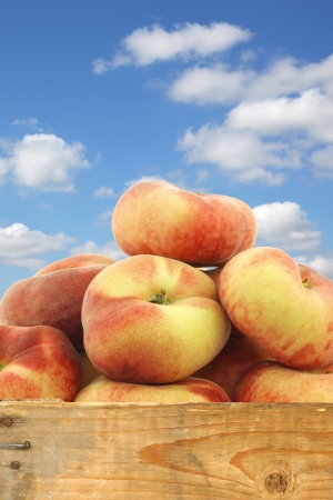 fresh colorful flat peaches  donut peaches  in a wooden crate against a blue sky with cloudsの写真素材