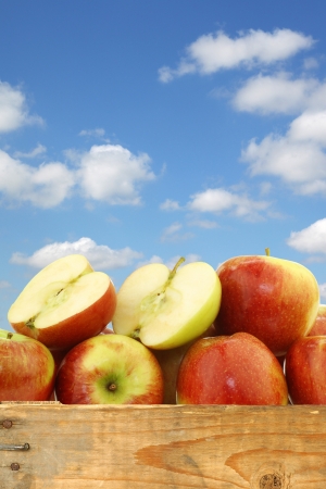 bunch of braeburn apples and a cut one  in a wooden crate against a blue sky with cloudsの写真素材