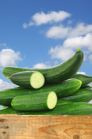 fresh cucumbers and some cut pieces in a wooden crate against a blue sky with cloudsの写真素材