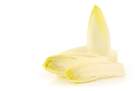 fresh chicory on a white backgroundの写真素材