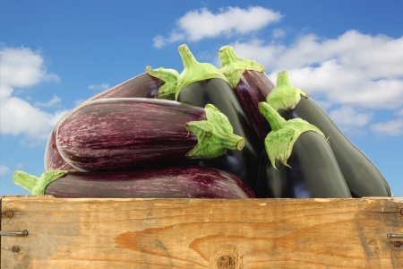mixed aubergines in a wooden crate on a white backgroundの写真素材