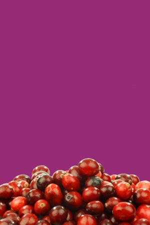 fresh cranberries on a purple background with copy spaceの写真素材