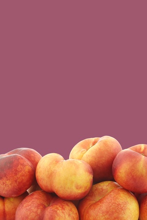 fresh wild  flat  nectarines on a purple backgroundの写真素材