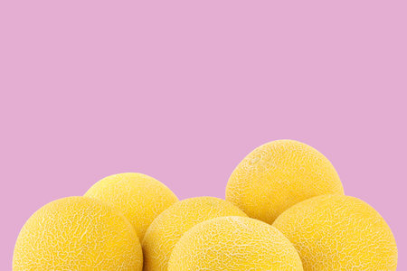 fresh galia melons on a pink backgroundの写真素材