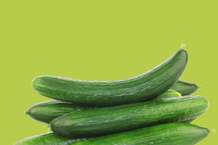 fresh cucumbers on a green backgroundの写真素材