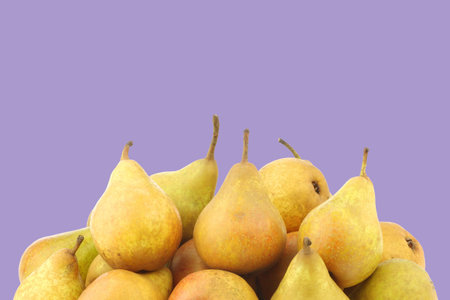 cooking pears  Gieser Wildeman  on a purple backgroundの写真素材