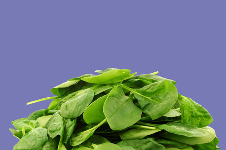 bunch of fresh spinach leaves on a lilac background