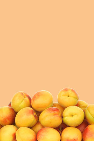 fresh colorful apricots on a beige background with copy spaceの写真素材