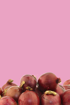 red onions on a pink backgroundの写真素材