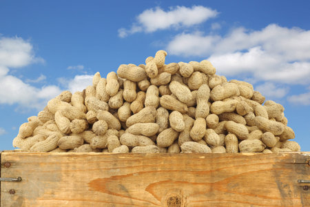 bunch of roasted peanuts in a wooden box against a blue sky with clouds