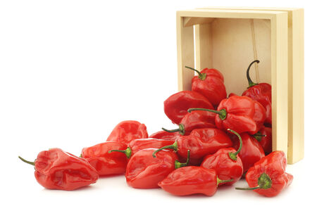 spicy hot red adjuma peppers in a wooden box on a white backgroundの写真素材