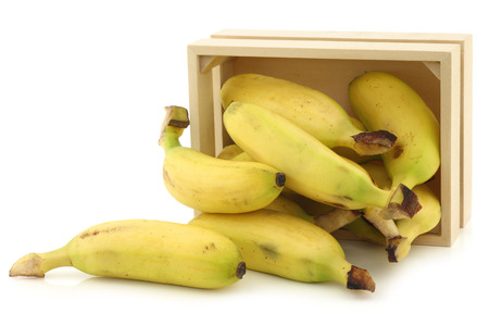 fresh mini bananas in a wooden box on a white backgroundの写真素材