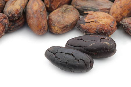 Dried cocoa beans and some peeled ones on a white backgroundの写真素材