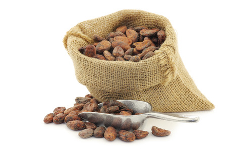 cocoa beans in a burlap bag with an aluminum spoon on a white backgroundの写真素材