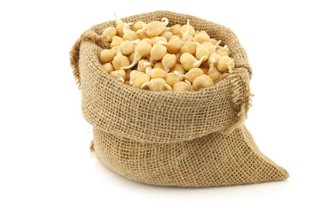sprouted chick peas in a burlap bag on a white backgroundの写真素材