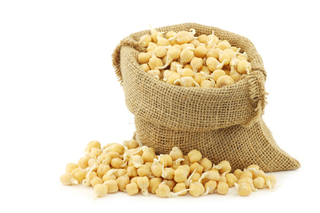 sprouted chick peas in a burlap bag on a white backgroundの写真素材