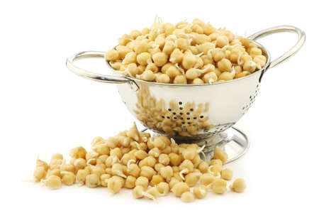 sprouted chick peas in a metal colander on a white backgroundの写真素材