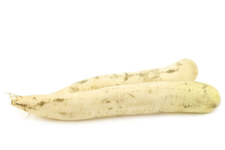 Winter radish on a white backgroundの写真素材