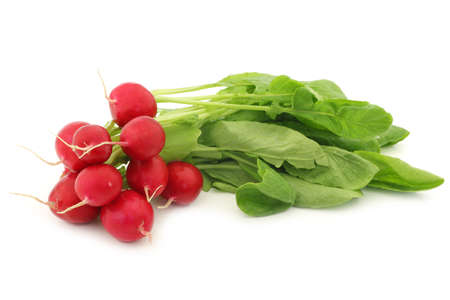 red radish on a white backgroundの写真素材