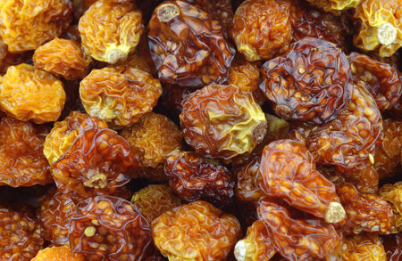 Background of dried Cape gooseberries (Physalis peruviana)の写真素材