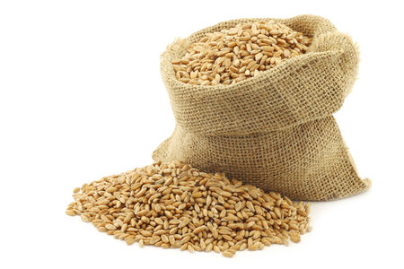 spelt in a burlap bag on a white backgroundの写真素材