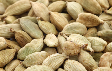 cardamom seeds backgroundの写真素材