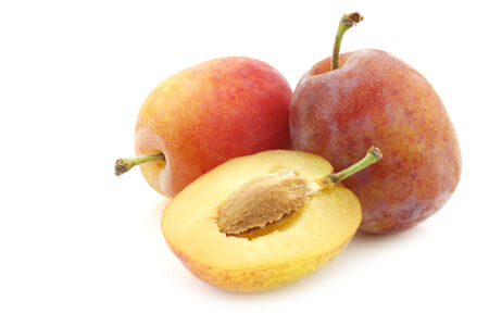 fresh ripe red and yellow plums and a cut one on a white backgroundの写真素材